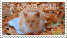 i love fall cat